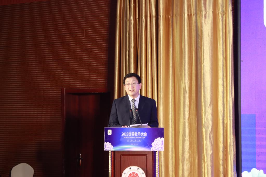姜同松院长主持分论坛活动