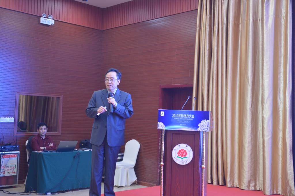 成仿云教授大会发言