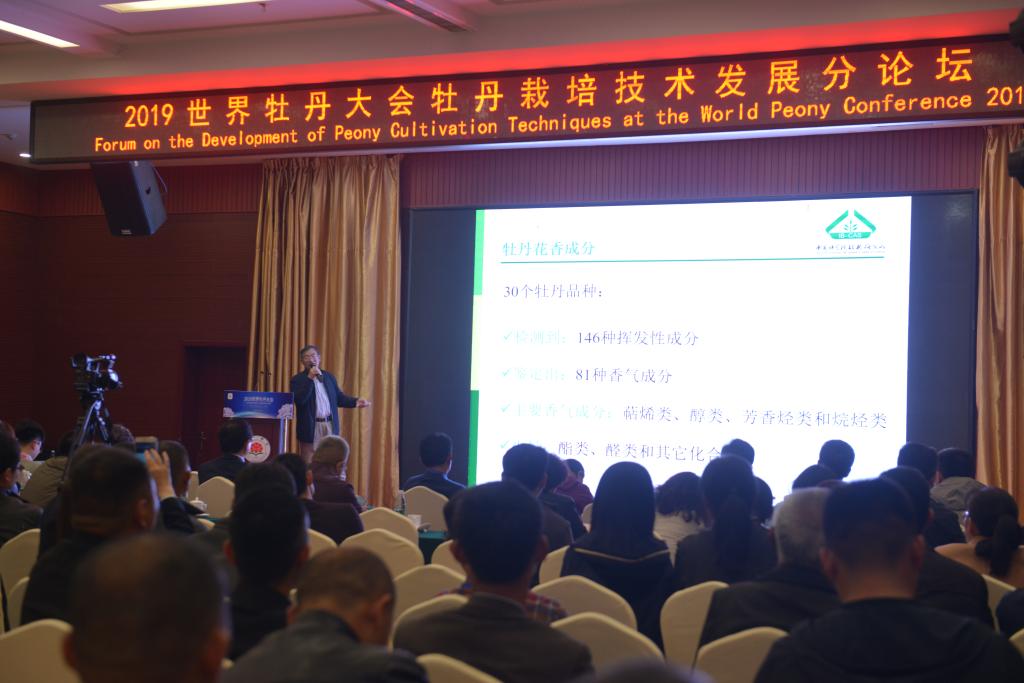 王亮生教授大会发言